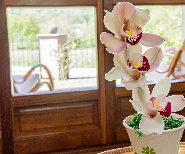 Holiday home Casa Elena